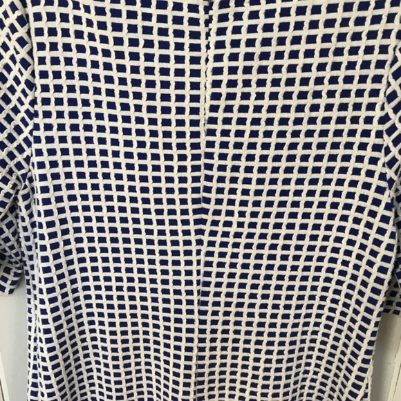 Tyler Boe Blue and White Checkered Dress - Picture 12 of 13